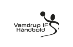 Vamdrup IF Håndbold image
